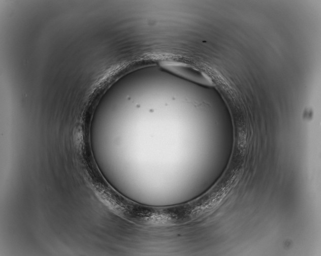 X0000100770256200806261550