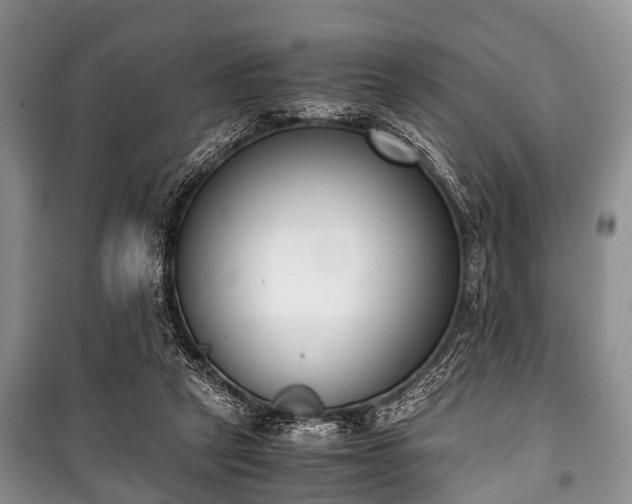 X0000100770257200806261550