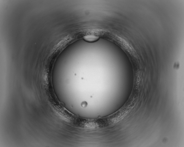 X0000100770258200806261550