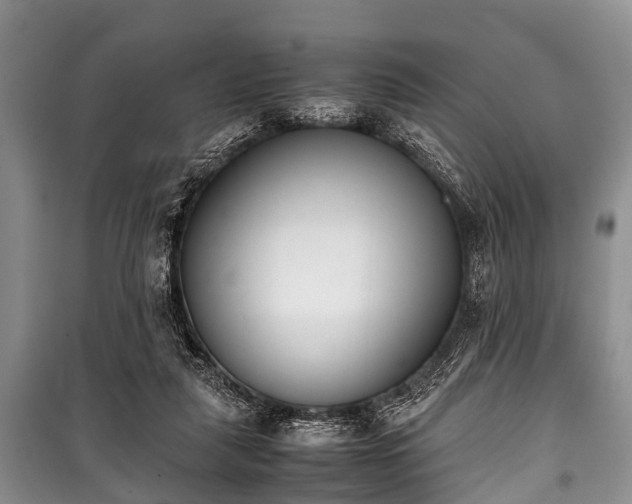 X0000100770259200806261550