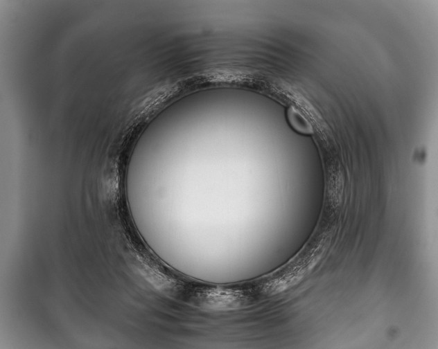 X0000100770261200806261550