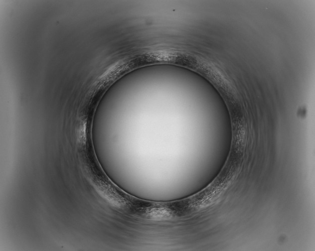X0000100770262200806261550