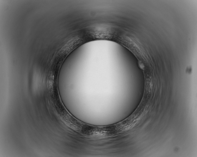 X0000100770263200806261550