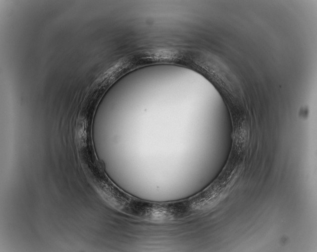 X0000100770264200806261550