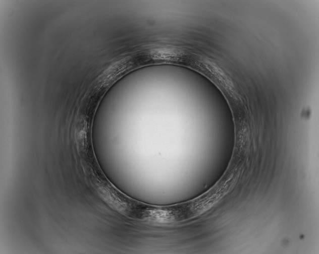 X0000100770265200806261550