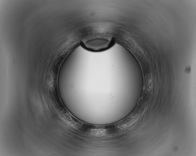 X0000100770266200806261550