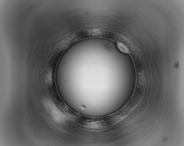 X0000100770267200806261550