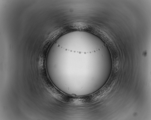 X0000100770268200806261550