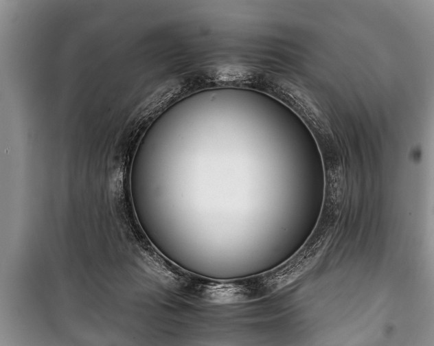 X0000100770269200806261551