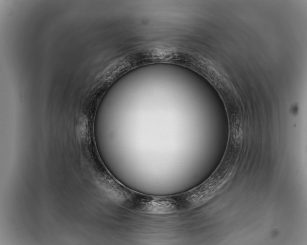 X0000100770270200806261551