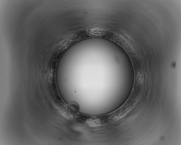 X0000100770271200806261551