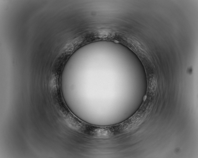 X0000100770272200806261551