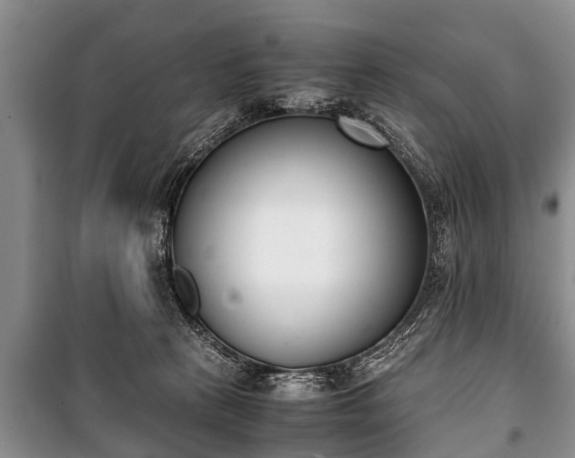X0000100770273200806261551