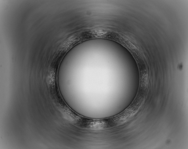 X0000100770274200806261551