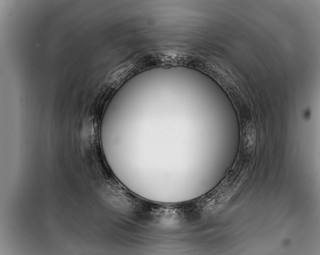 X0000100770276200806261551