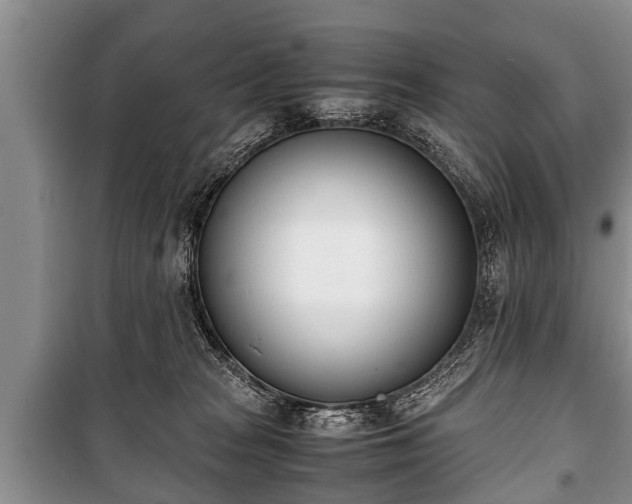 X0000100770277200806261551
