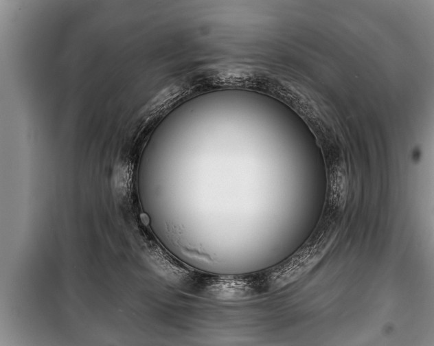 X0000100770278200806261551