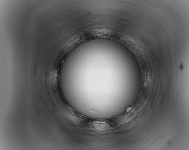 X0000100770279200806261551