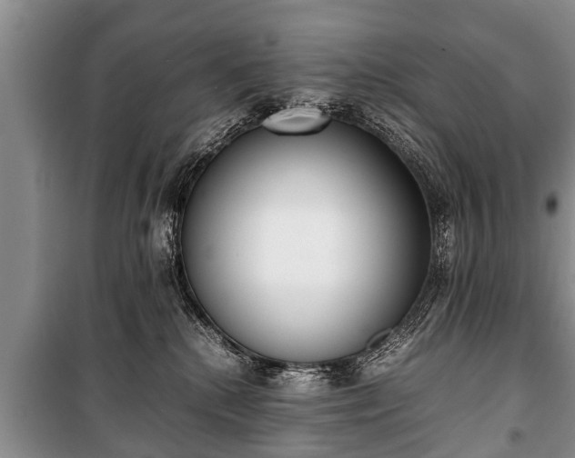 X0000100770280200806261551