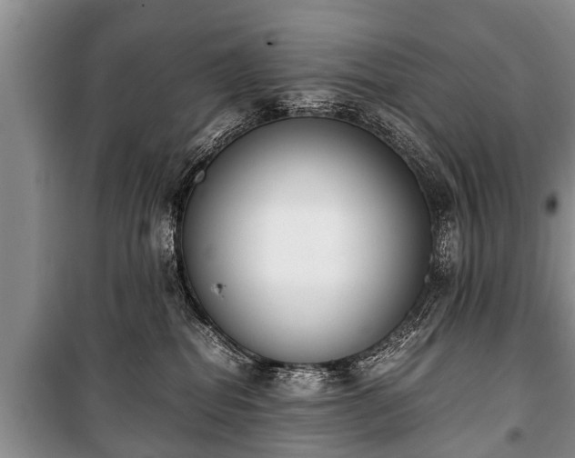 X0000100770282200806261551