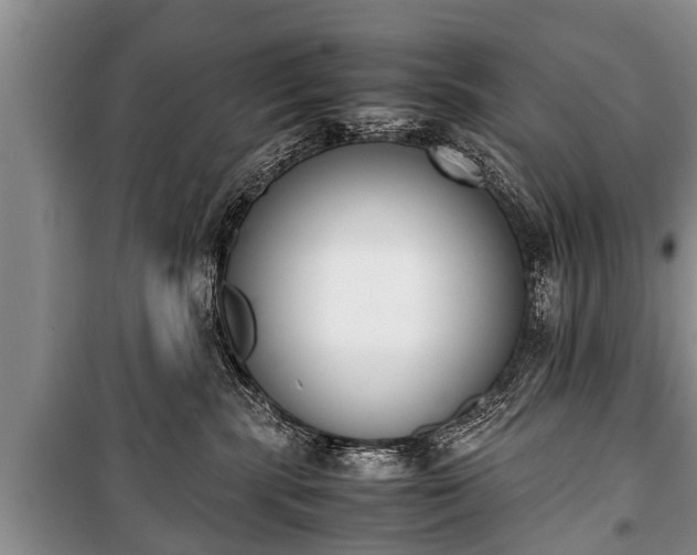 X0000100770283200806261551