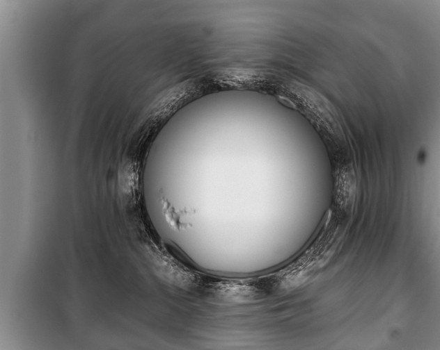 X0000100770284200806261551