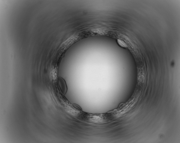 X0000100770285200806261551
