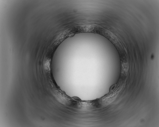 X0000100770286200806261551