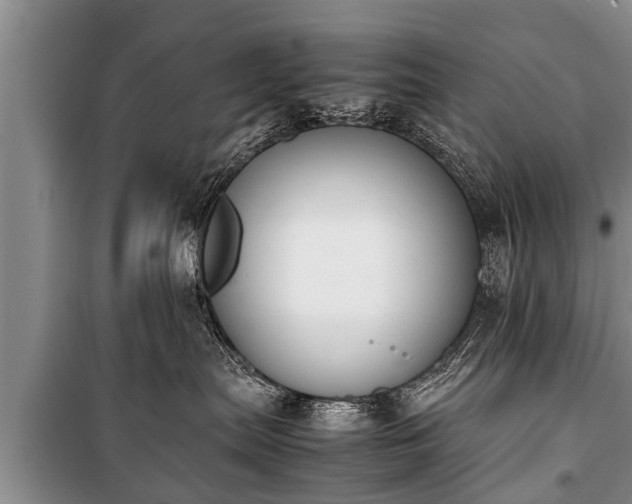 X0000100770287200806261551