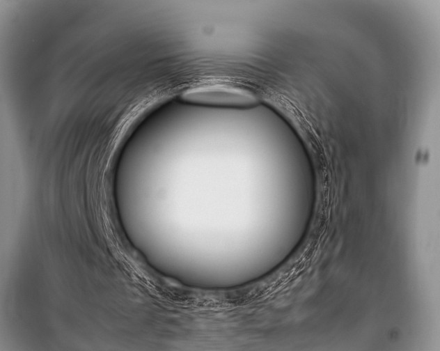 X0000100770289200806261550