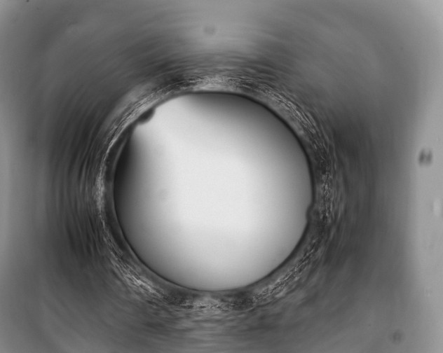 X0000100770290200806261550