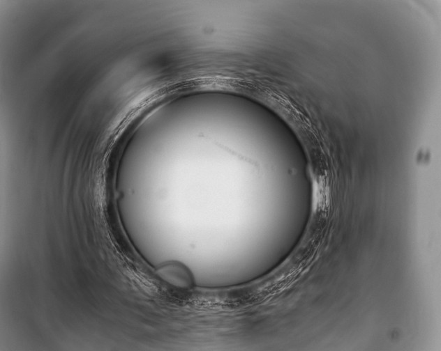 X0000100770291200806261550