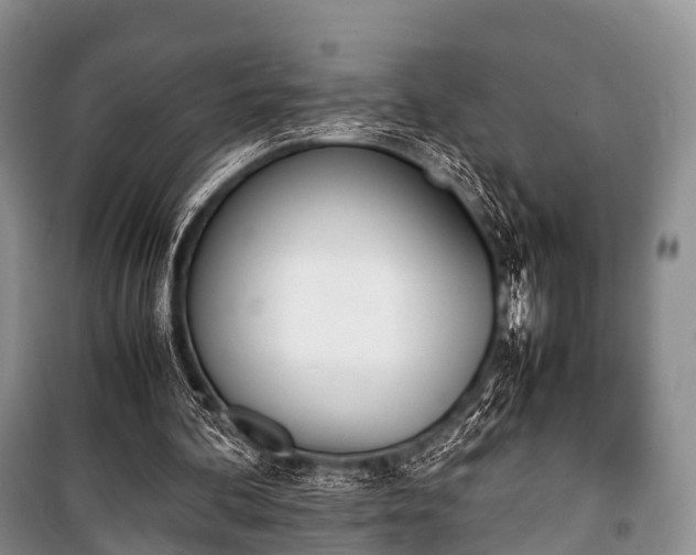 X0000100770292200806261550