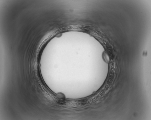 X0000100770293200806261550