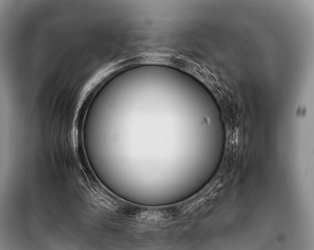 X0000100770294200806261550