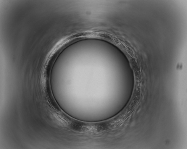 X0000100770295200806261550