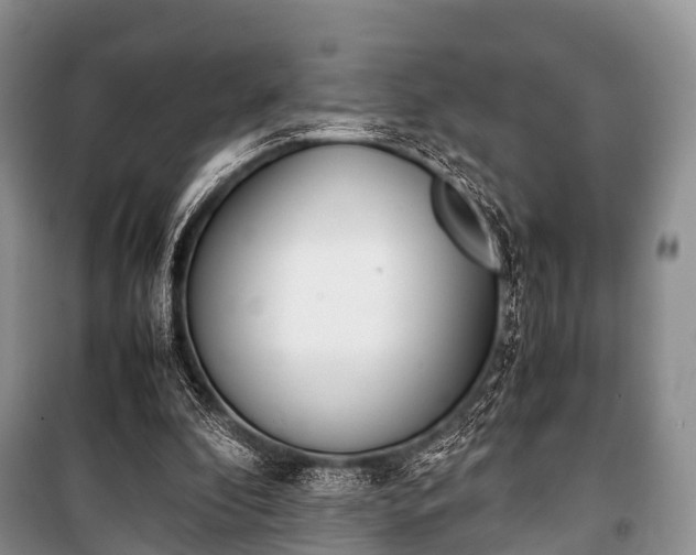 X0000100770296200806261550