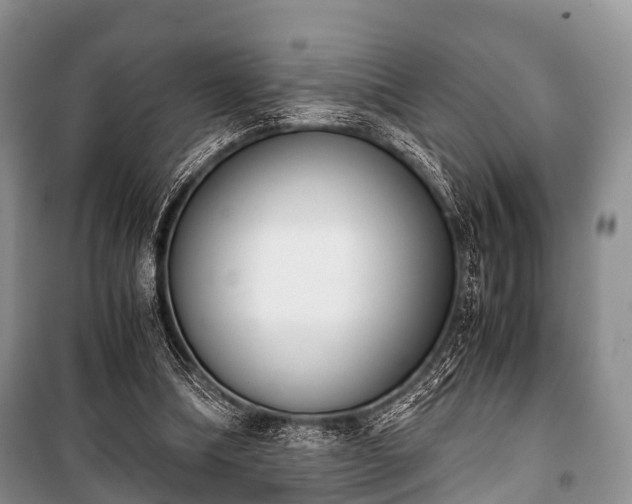 X0000100770298200806261550