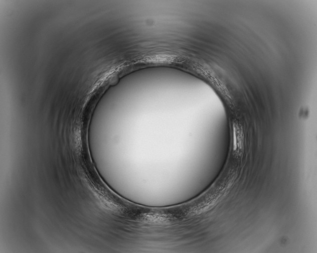 X0000100770300200806261550