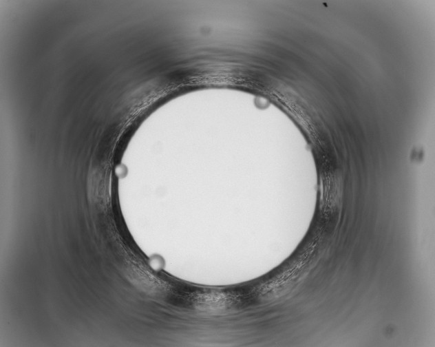 X0000100770301200806261550
