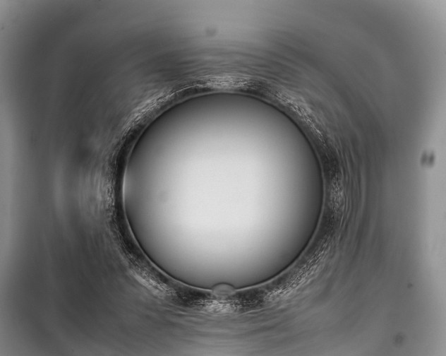 X0000100770303200806261550