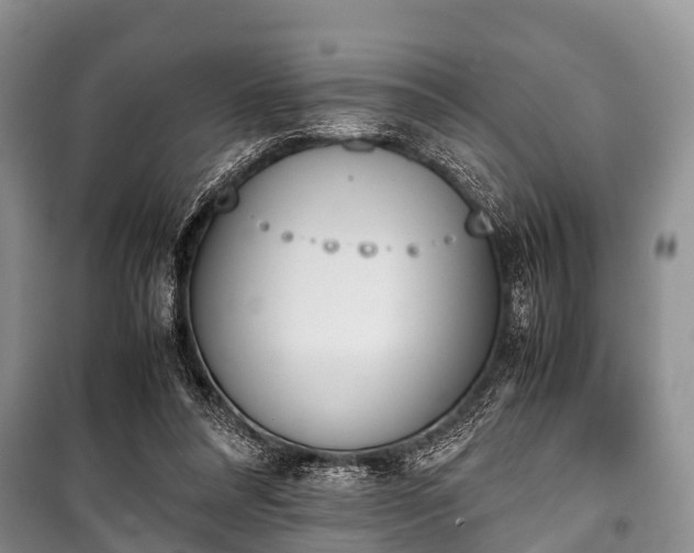 X0000100770304200806261550
