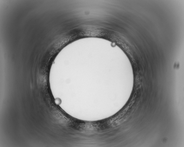 X0000100770305200806261550