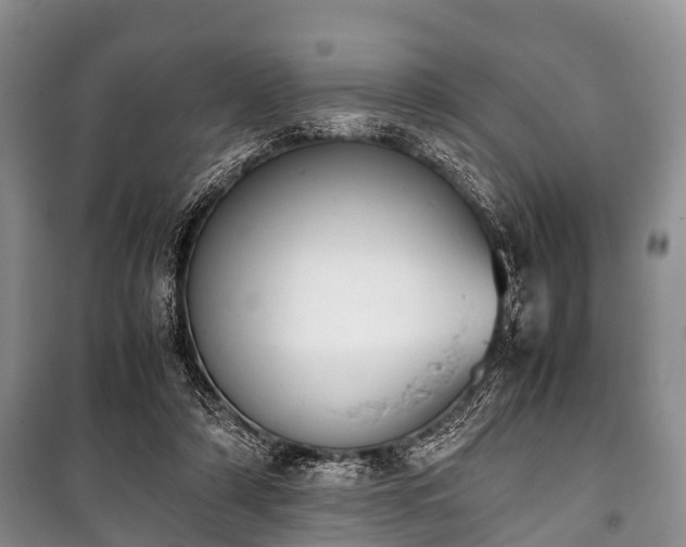X0000100770306200806261550