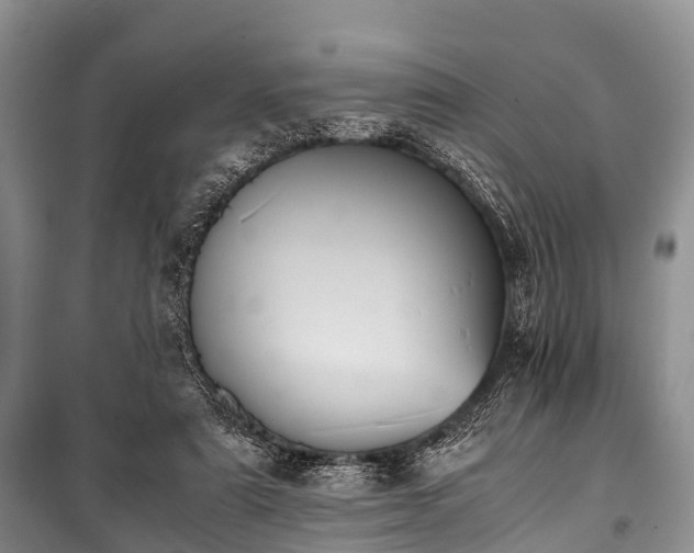 X0000100770307200806261550