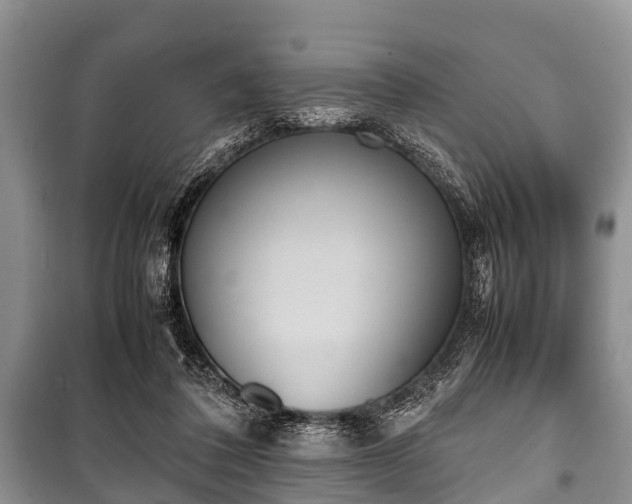X0000100770308200806261550