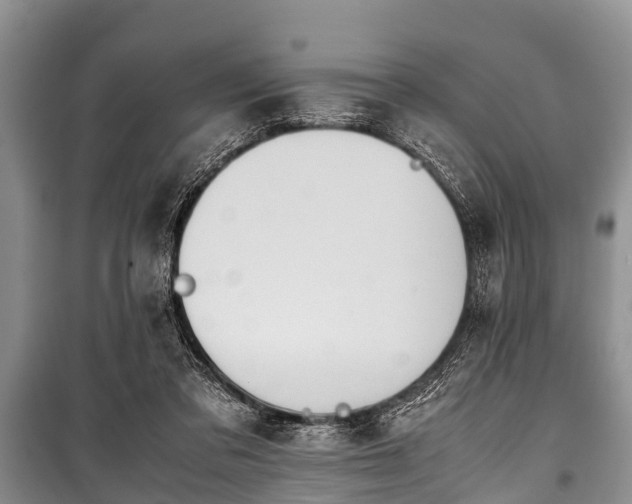 X0000100770309200806261550