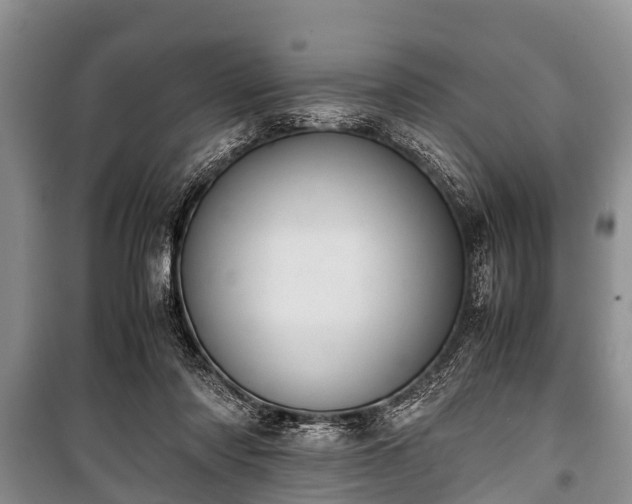 X0000100770310200806261550