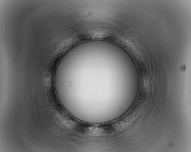 X0000100770311200806261550