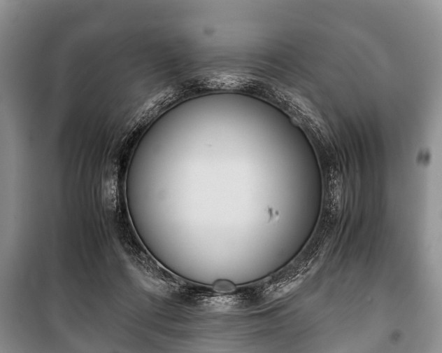 X0000100770312200806261550